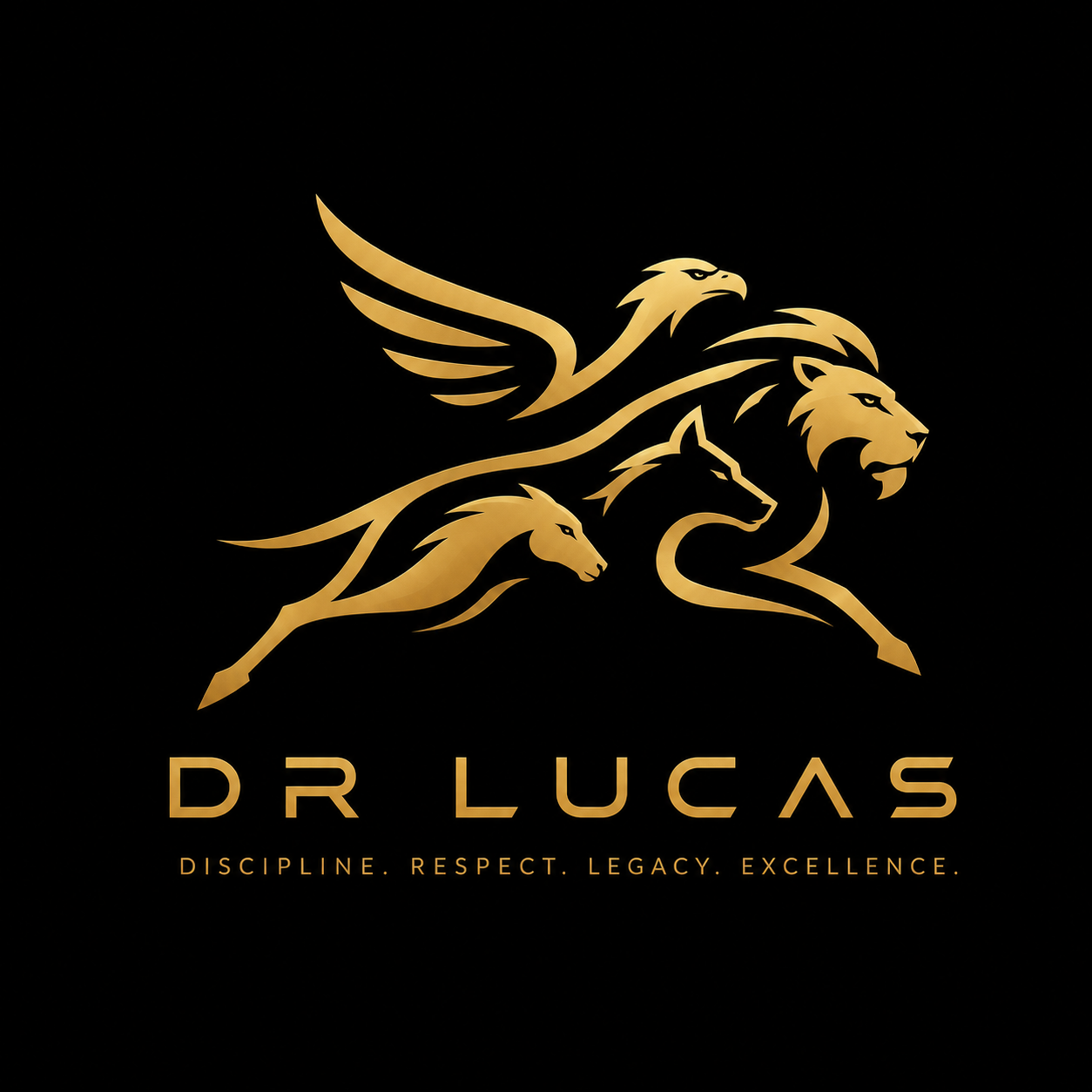 Dr Lucas World, Discipline. Respect. Legacy. Excellence.